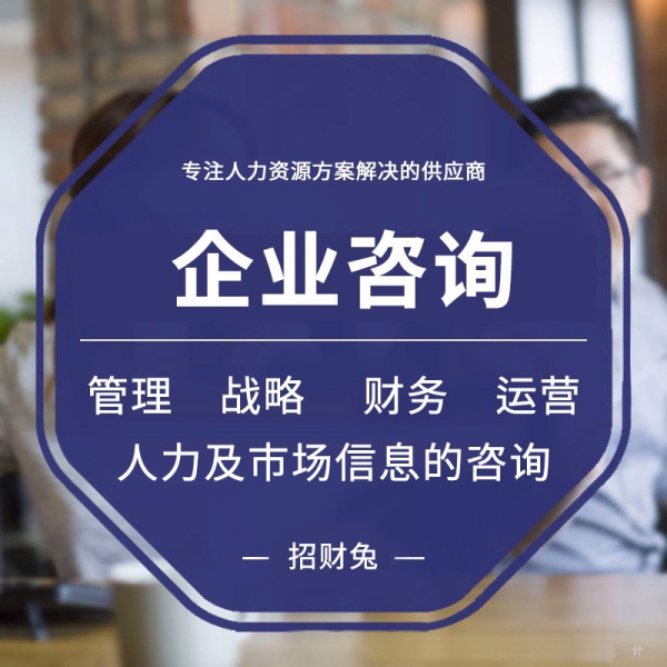 企业管理咨询财务人力市场信息咨询顾问服务