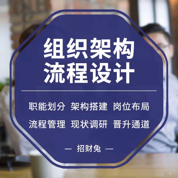 中小型公司企业组织管理系统工具企业公司组织管理架构财务管理薪酬绩效培训体系